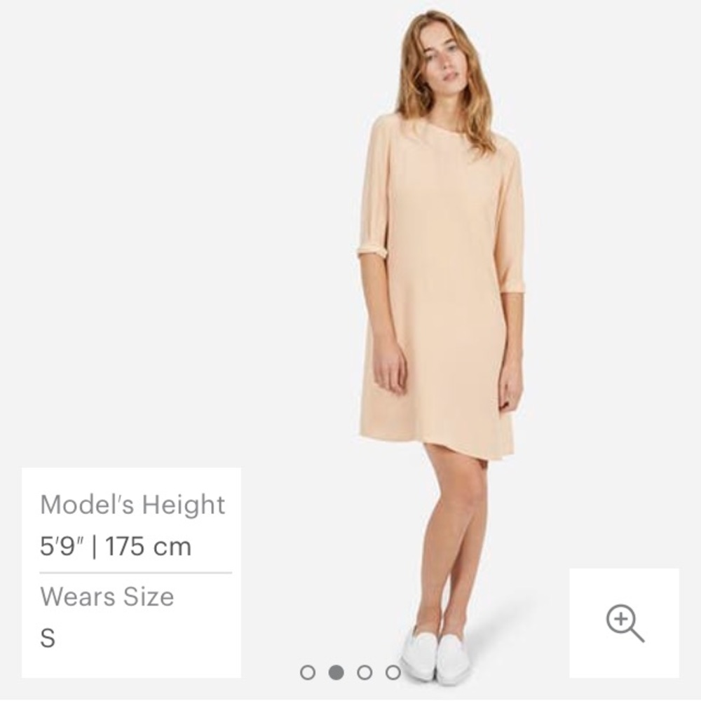 Everlane Silk Long-Sleeve Dress in Blush